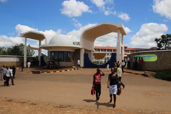 Kibabii University Gate